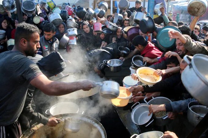 Gaza Food Crisis: Widespread Starvation Statistics