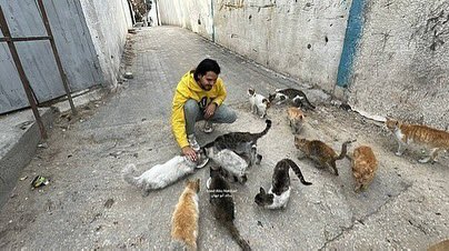 Gaza Resident Feeds Stray Animals Amid Food Shortage Crisis