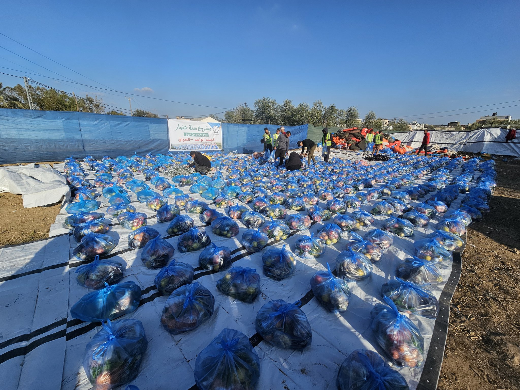 Distribution of 500 vegetable packages for people