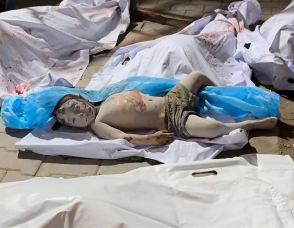 Israeli bombing kills nine displaced persons in Gaza City