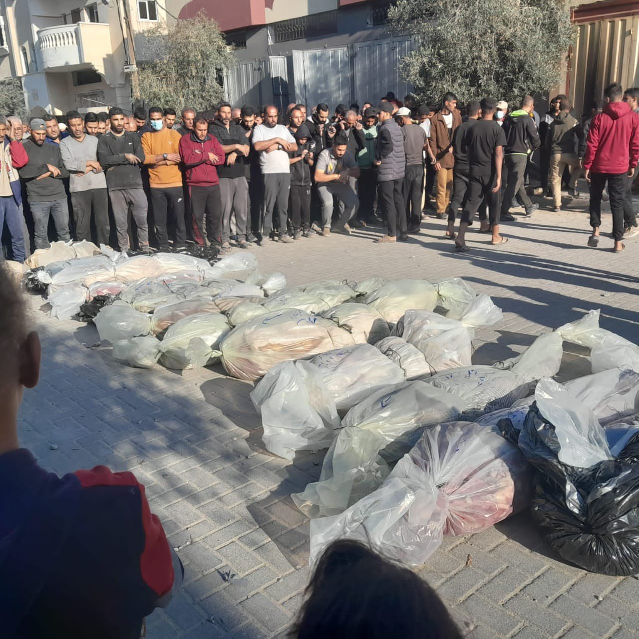 37 Killed in Israeli Bombing Gaza Strip