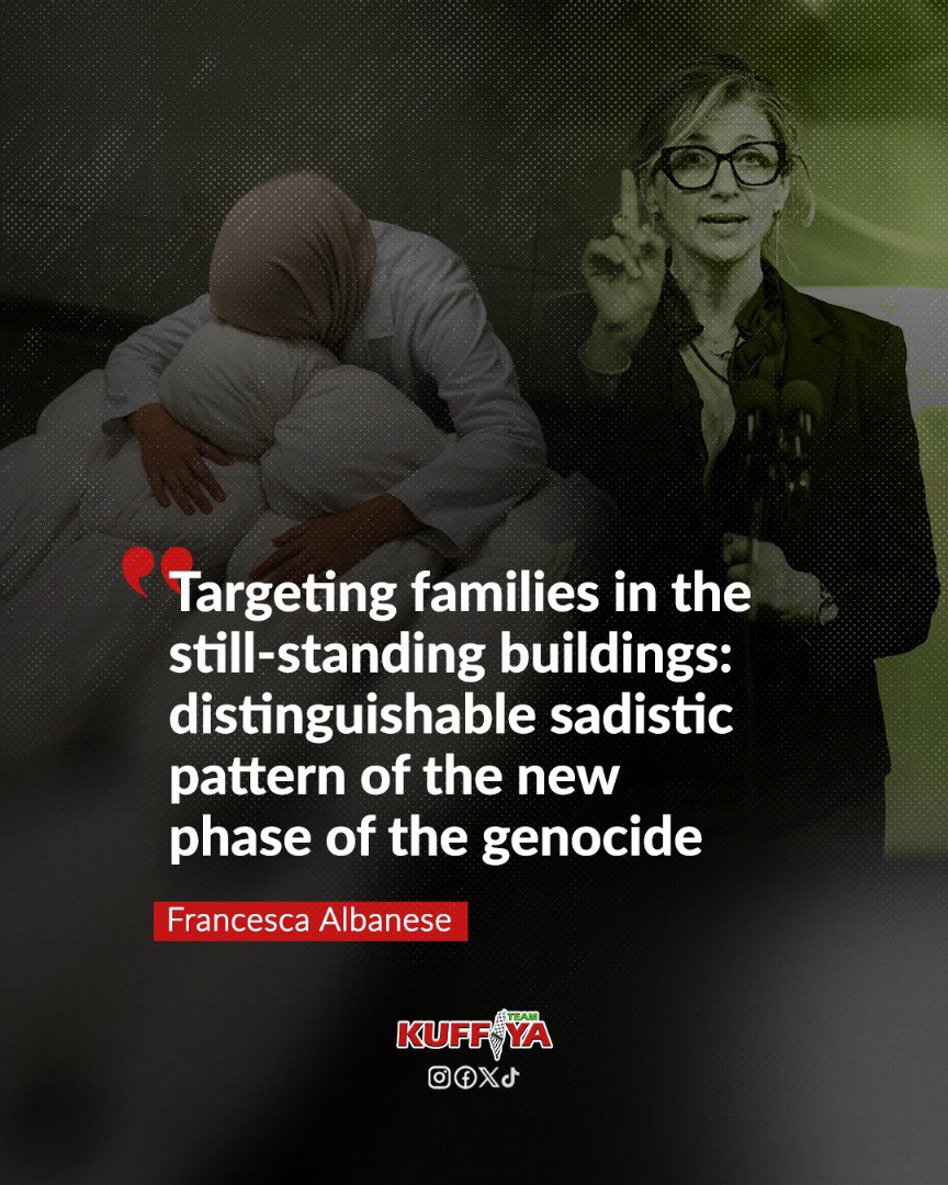 UN rapporteur condemns Israeli attack killing Palestinian doctor’s children
