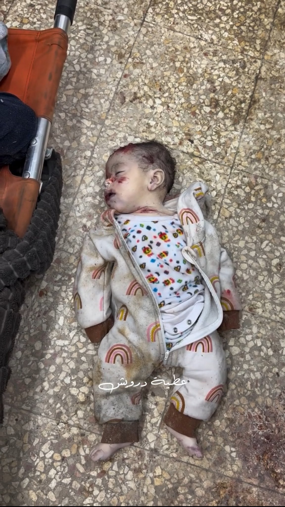 Israel accused of killing individual in cold-blooded manner