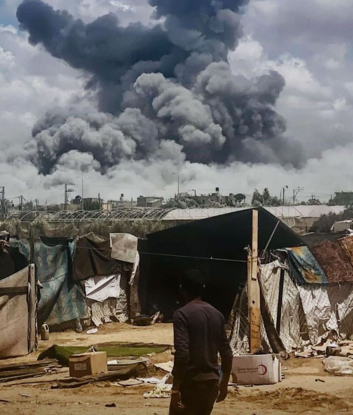 Genocide is not political: it’s human