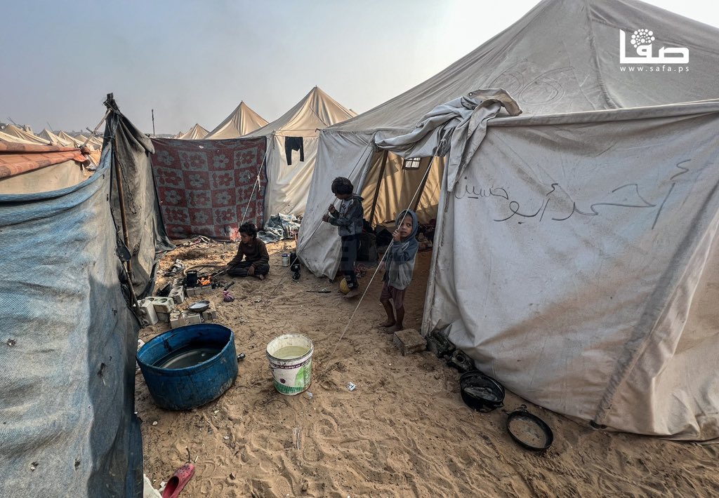 74% des tentes à Gaza impropres à l’habitation selon centre droits humains