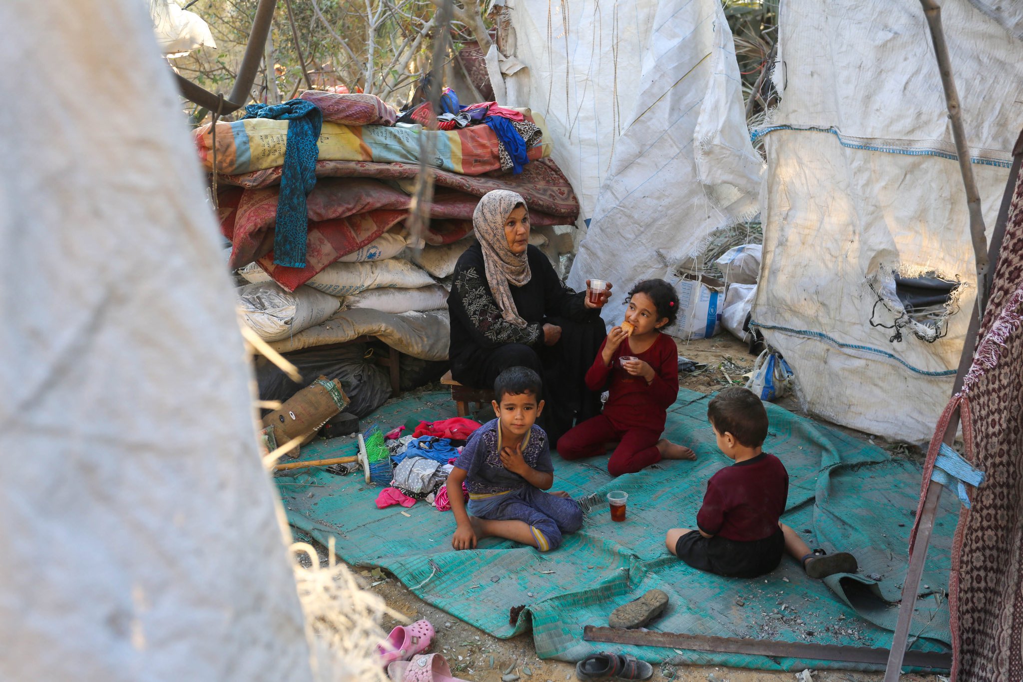 World Bank reports Gaza poverty rate reaches 100 percent