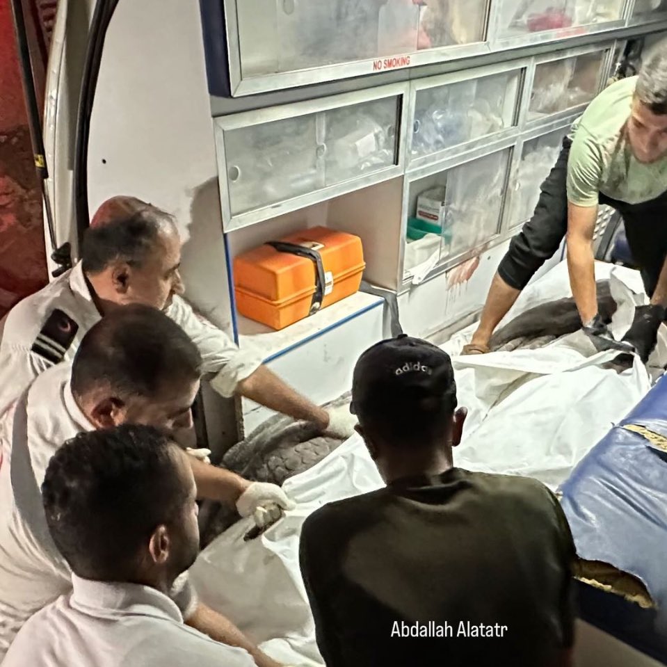Palestinian Civilian Deaths Rise to Ten in Gaza Attacks