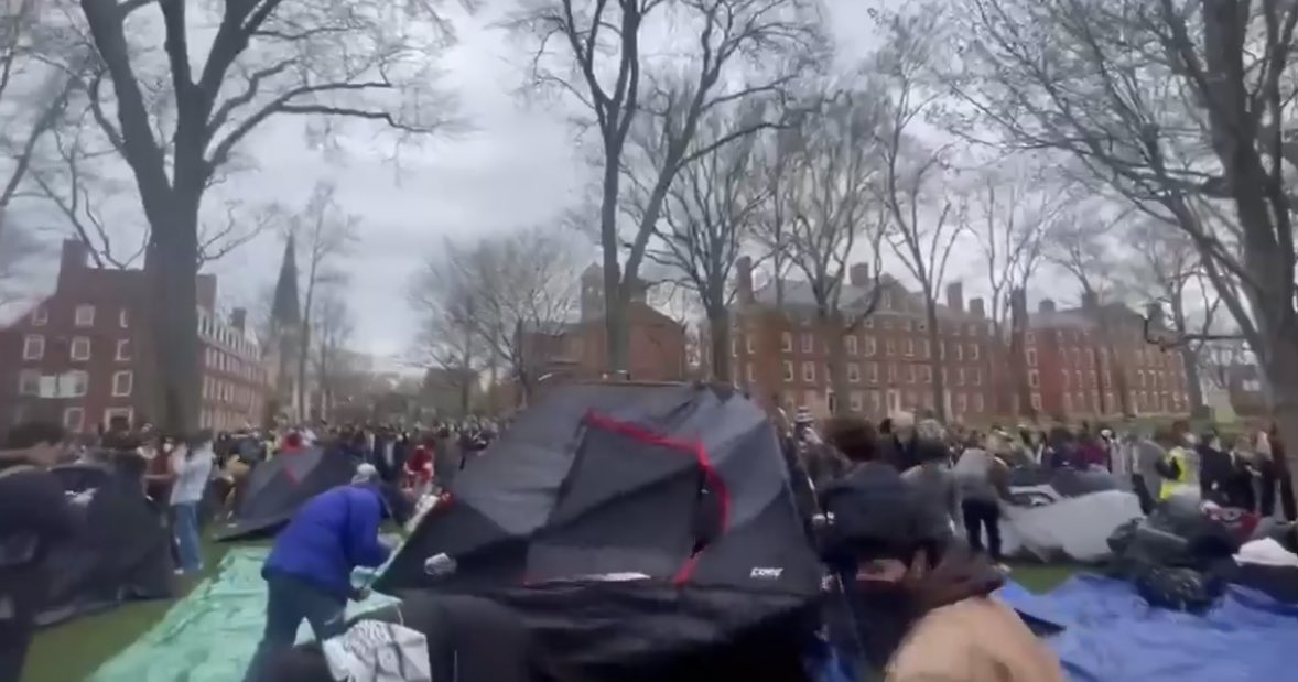 Harvard Students Join Gaza Encampment Movement