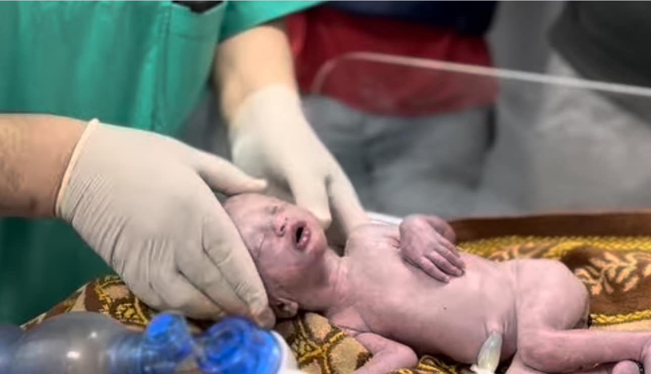 Israeli forces bomb house in Rafah killing pregnant woman
