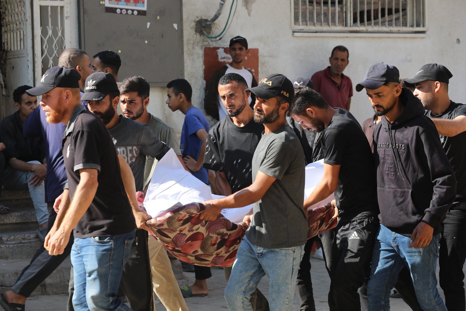 Gaza casualties reported: 103 killed, 219 wounded in 24 hours