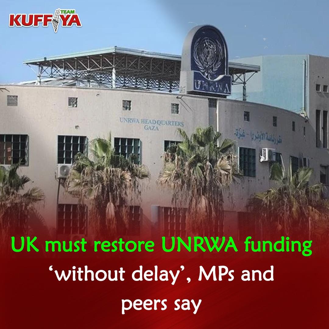 Cameron Faces Cross-Party Pressure on Palestine UN Funding