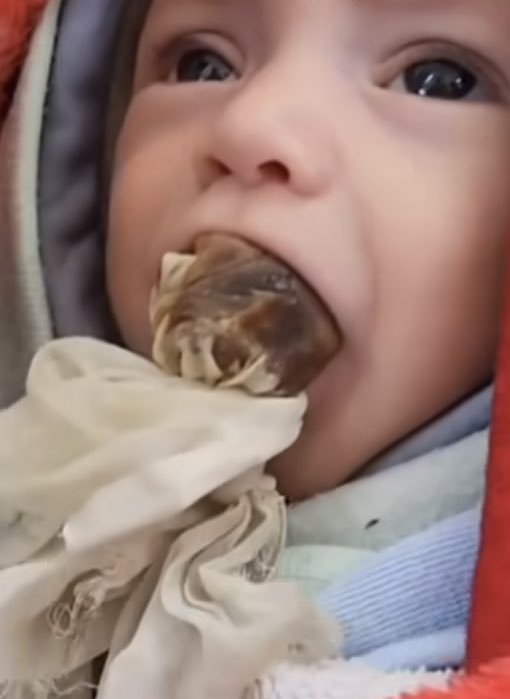 Mothers in Gaza use dates to sustain infants amid starvation
