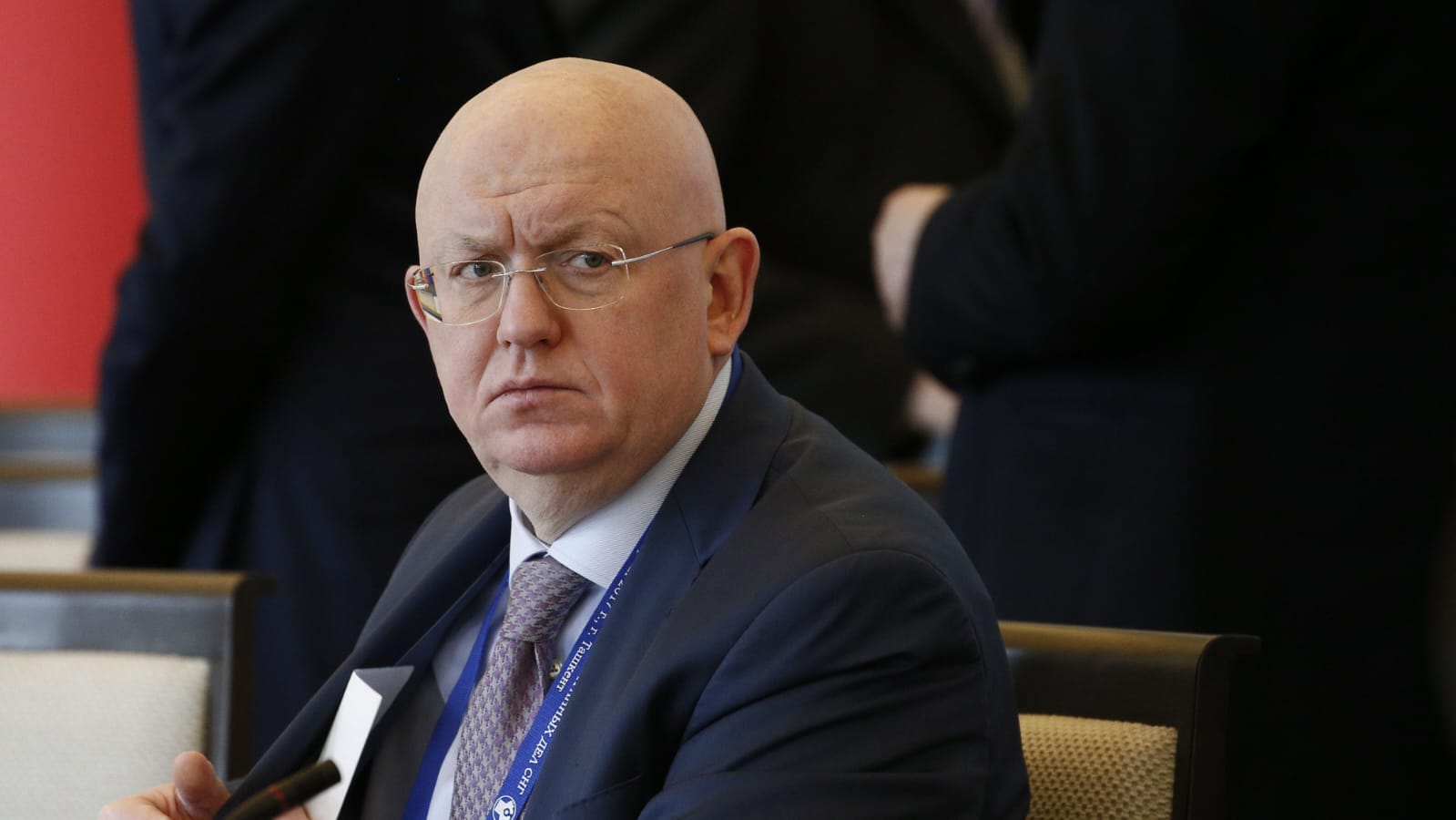 Russian Ambassador Comments on Gaza Ceasefire Acknowledgment