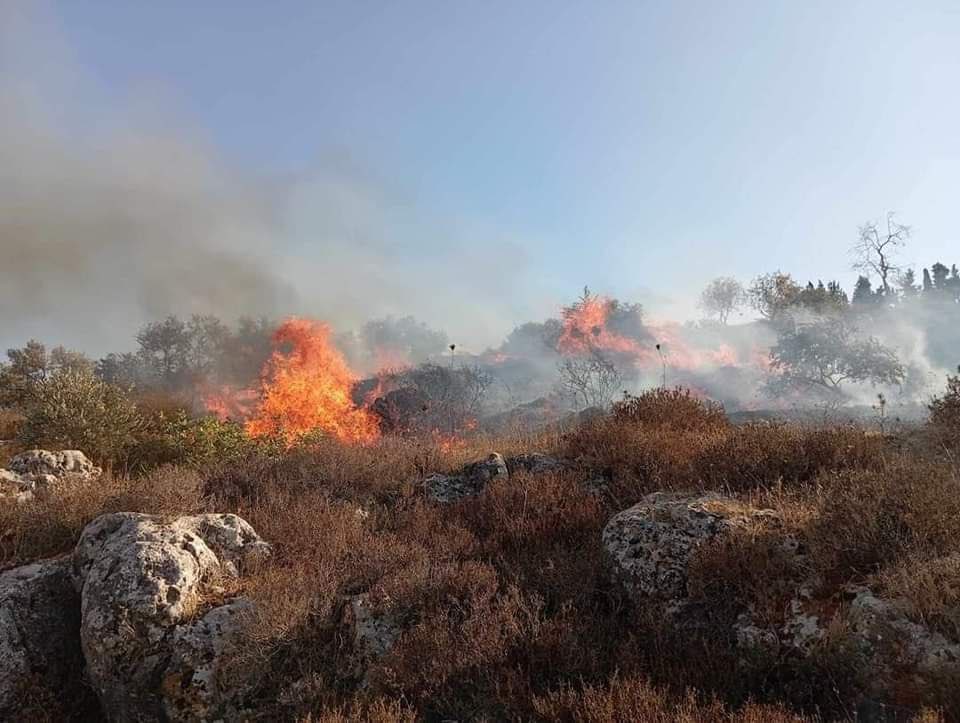 Israeli forces tear gas pollution harms West Bank environment