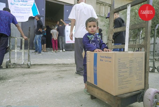Gaza government rejects UN claims over Jabaliya aid incident