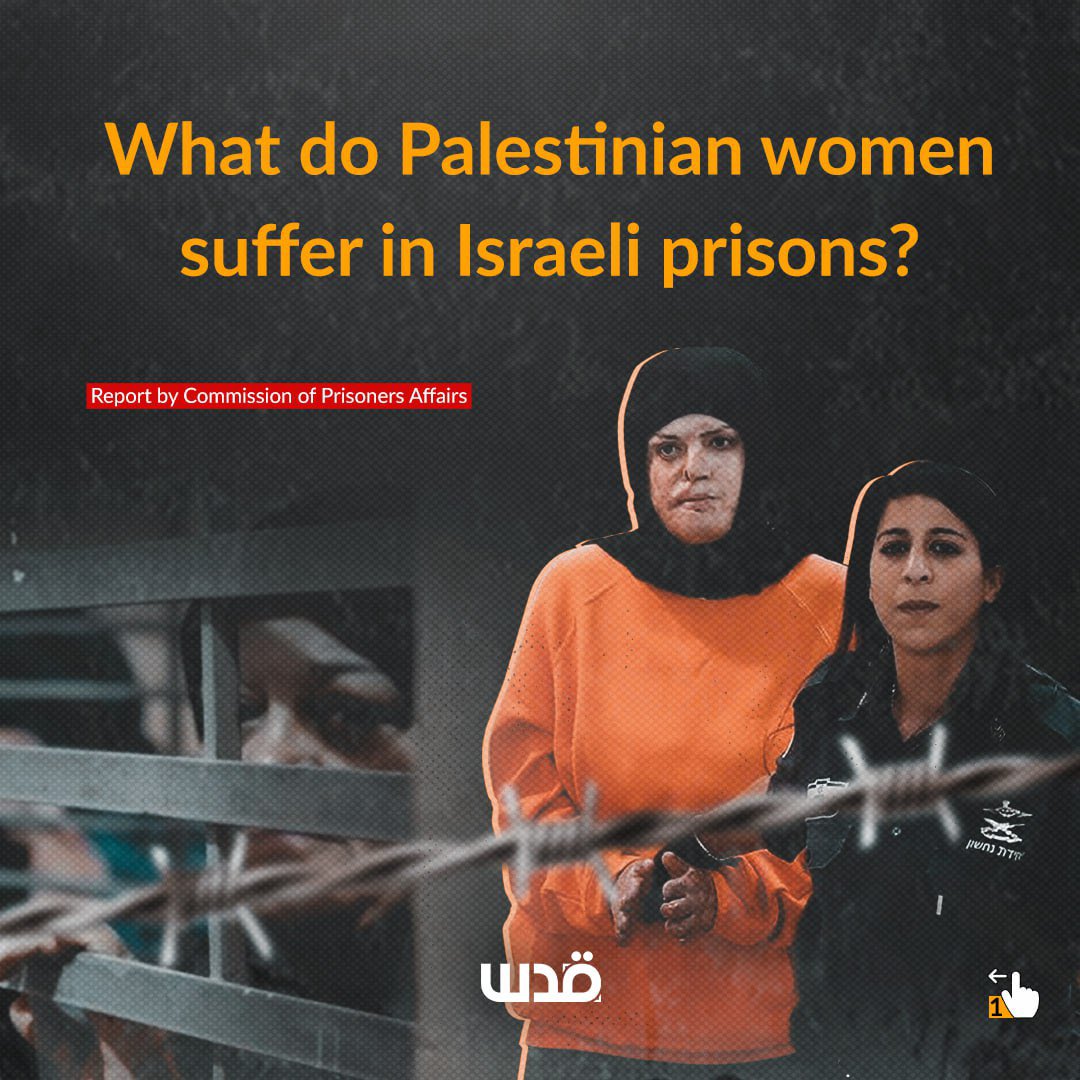 Palestinian female detainees face abuse in Israeli Damon prison