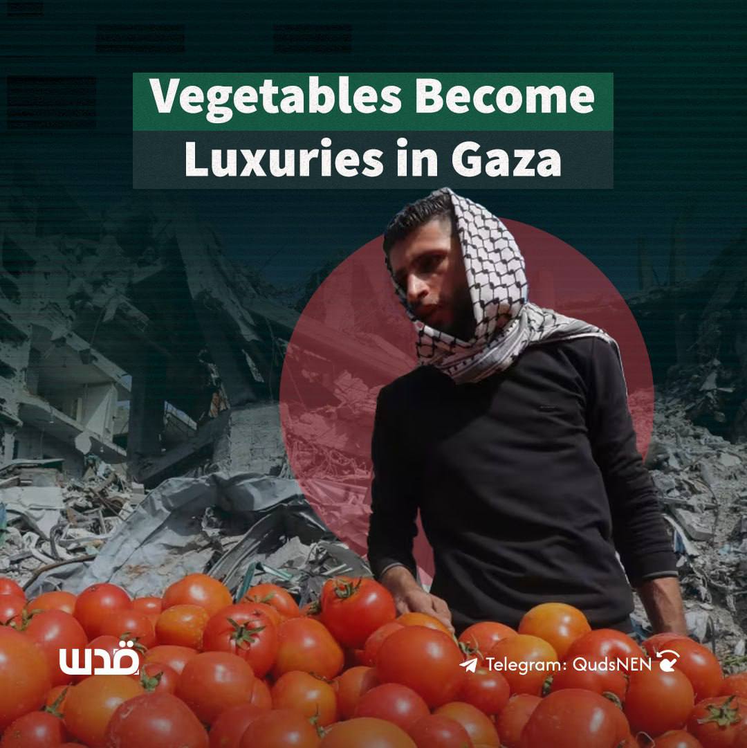 Gaza siege: closed crossings and worsening humanitarian conditions