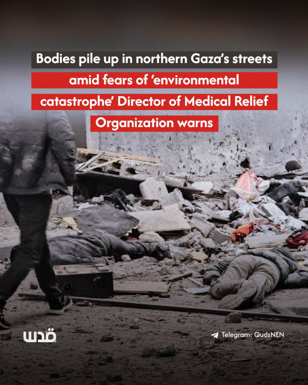 Gaza streets become graveyards for unretrieved bodies, warns medical official