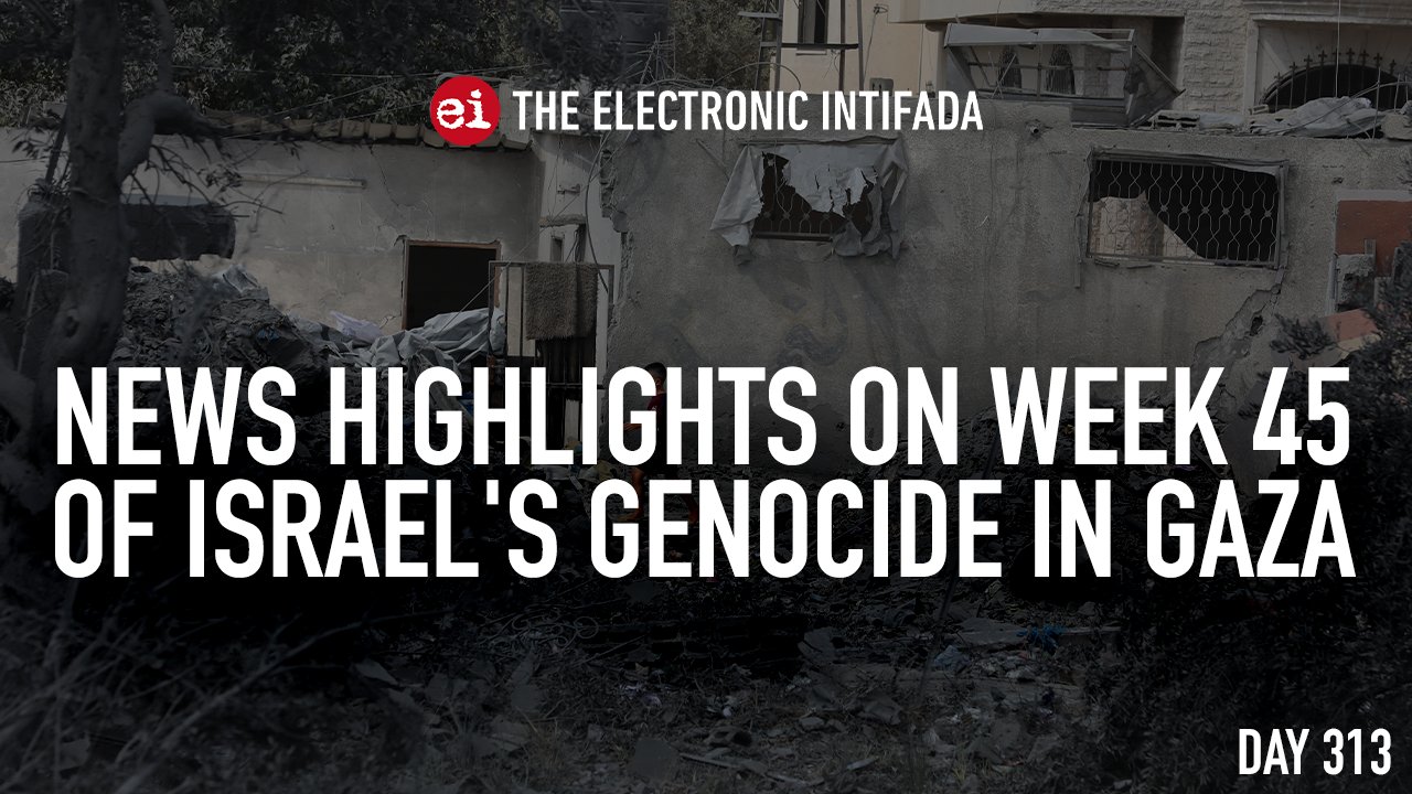 News highlights on week 44 of Israel’s genocide in Gaza