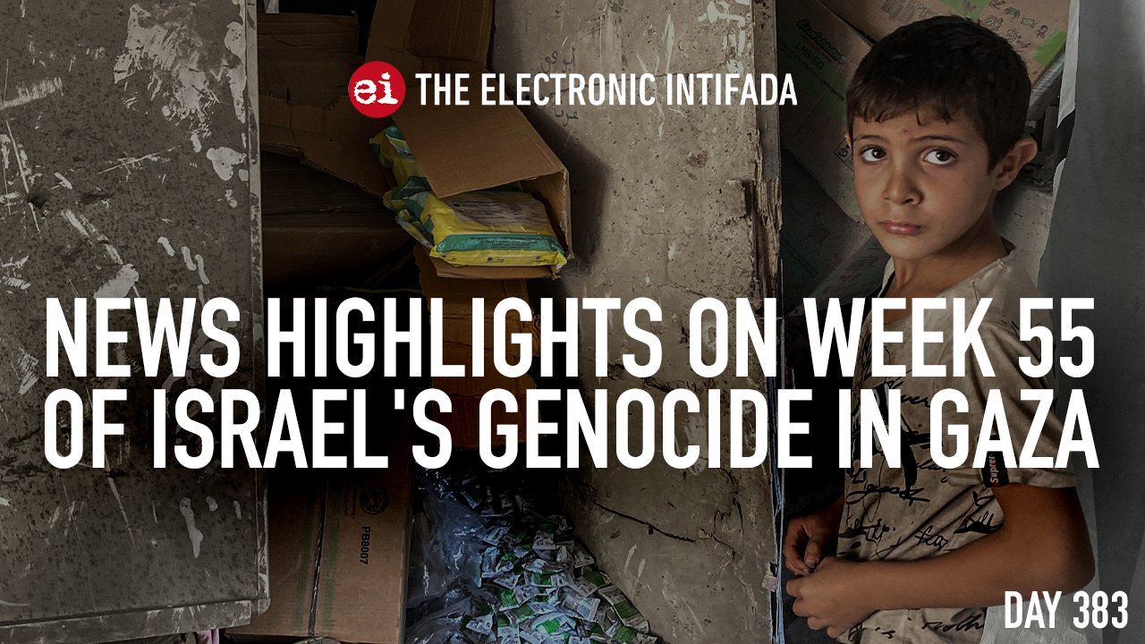 Week 55 news highlights on Israel’s genocide in Gaza