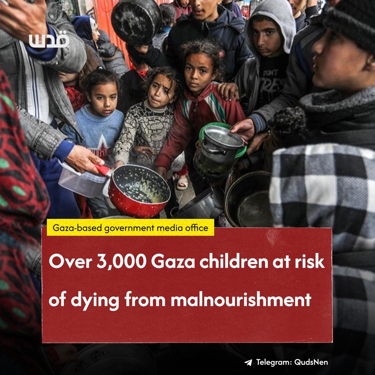 3,500 Palestinian children at risk of dying from malnourishment in Gaza