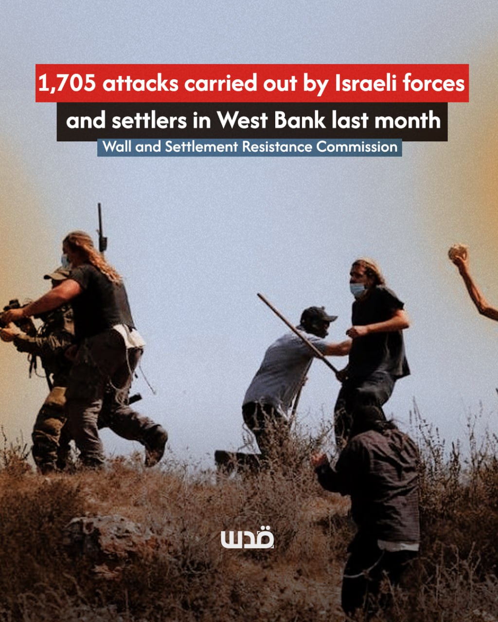 West Bank: 1,705 settler and army attacks recorded last month