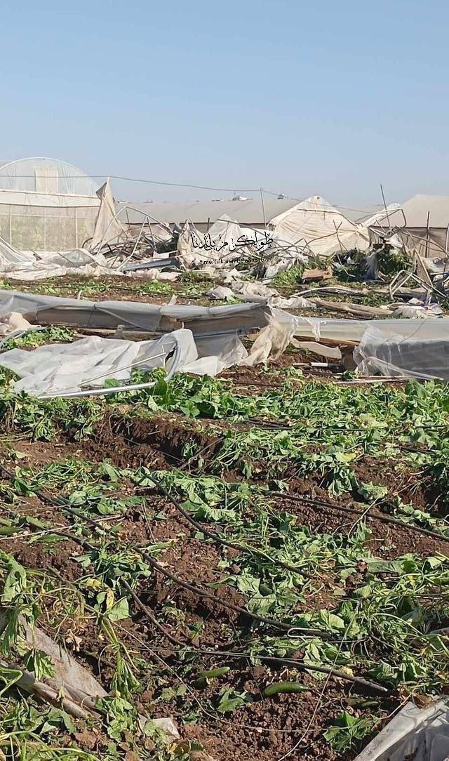 Israeli forces destroy greenhouses in Deir Ghassoun, Tulkarm