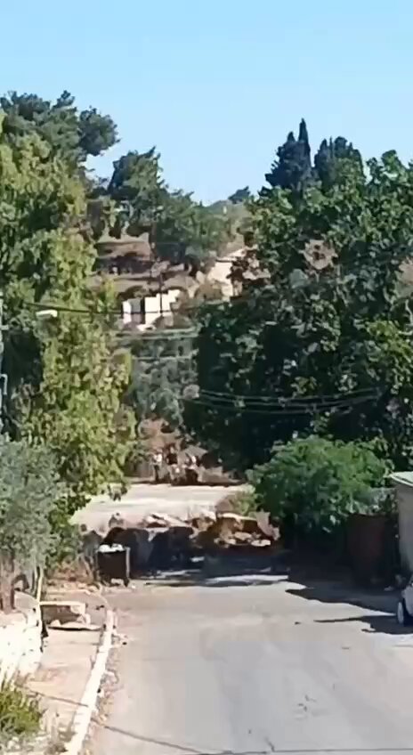 Israeli settlers graze sheep near Palestinian homes in Sinjil, West Bank