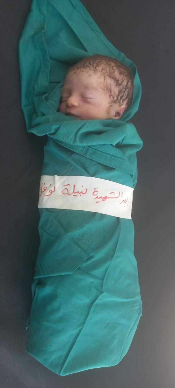Baby Nabilah Noufal, 7 days old, killed by Israeli jets in Gaza