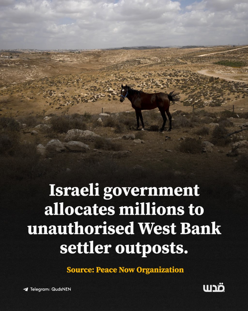 Israel funds illegal settler farms in occupied West Bank