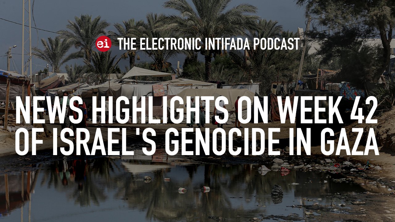 Week 42 news highlights of Israel’s genocide in Gaza