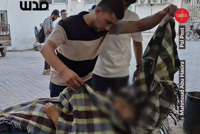 Four Palestinians killed in Israeli strikes on vehicles in Gaza
