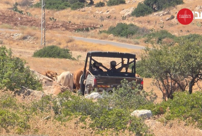 Palestinian family displaced from Khirbet Tana near Nablus
