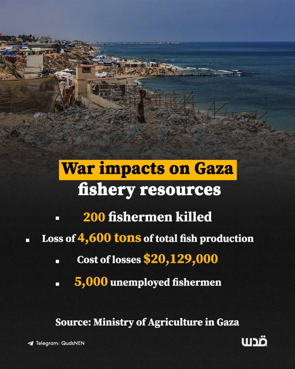 Gaza Agriculture Ministry reports Israeli violations against fishing sector