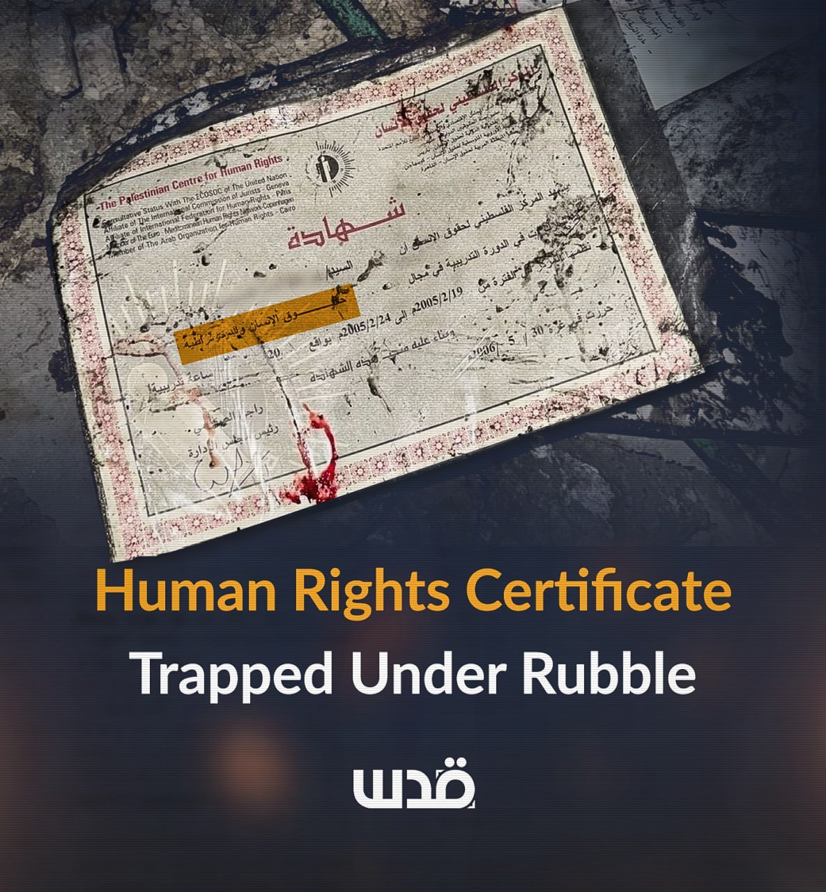 Blood-stained human rights certificate found in rubble of bombed Gaza house
