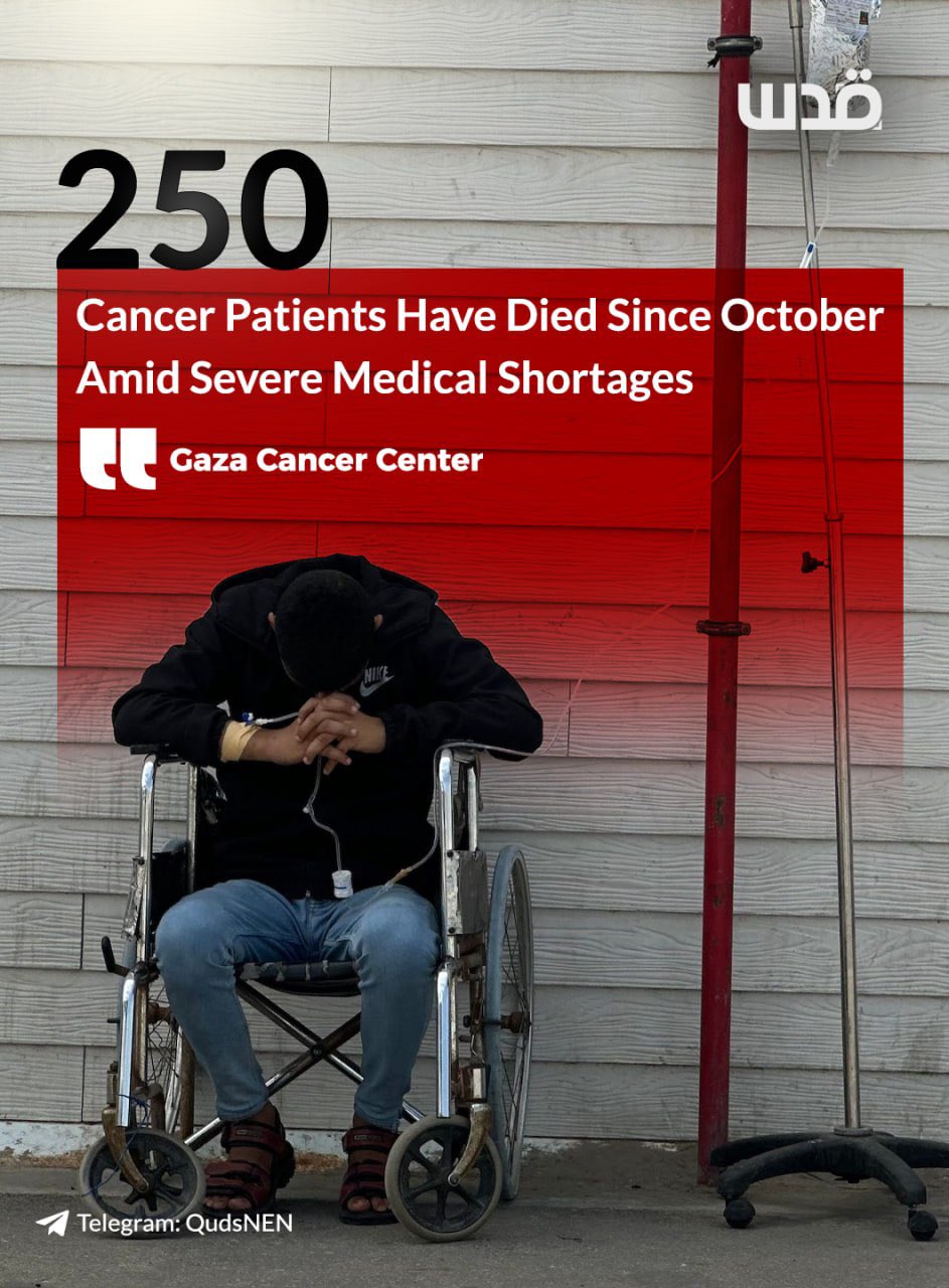 Gaza cancer deaths rise to 2-3 per day, says center head
