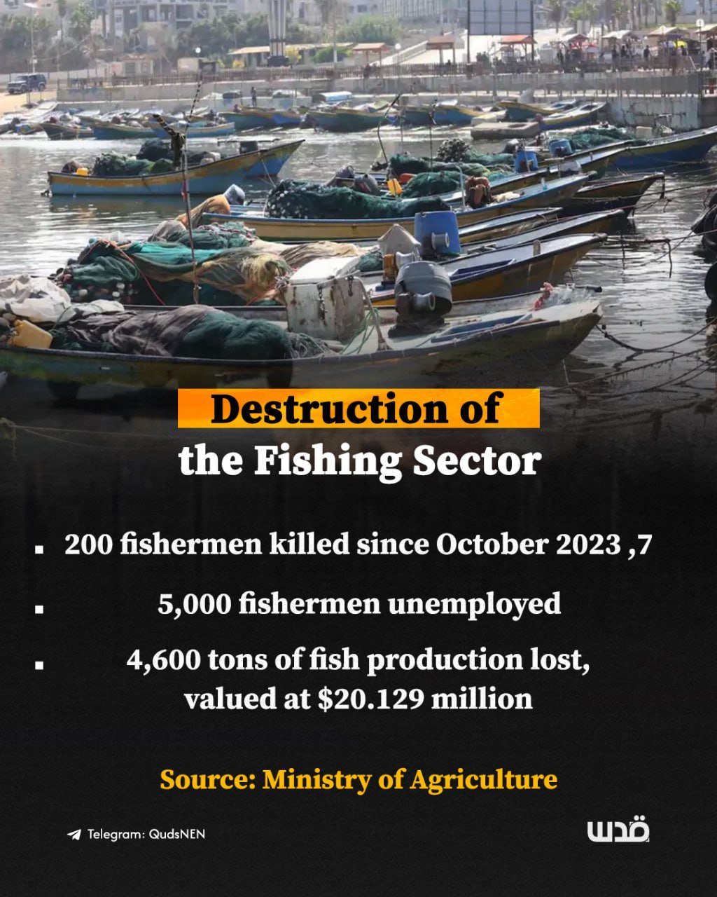 Infographic on Israel’s war on Gaza fishing sector