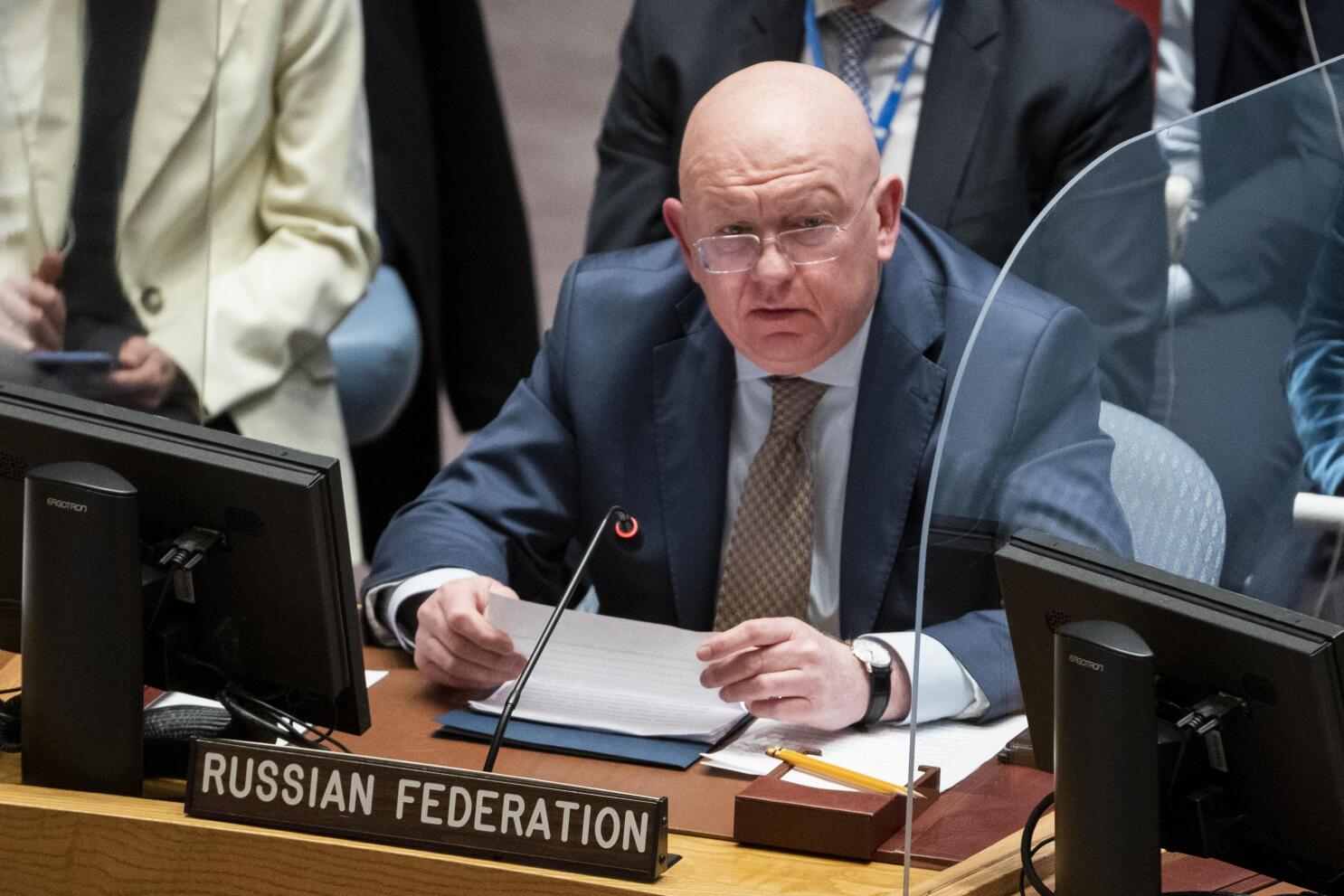 Russia’s UN Ambassador condemns indiscriminate bombing of Gaza