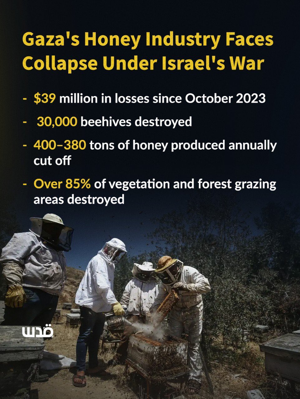 Israeli war devastates Gaza beekeeping sector, destroying thousands of hives