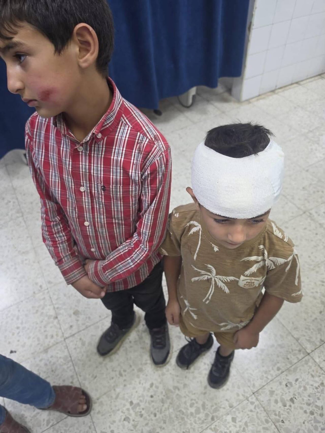 Two children injured in settler attack near Salfit