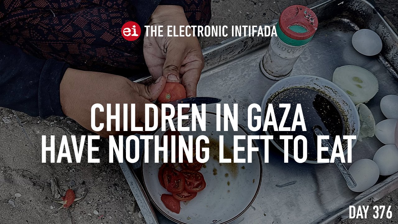 Children in Gaza have nothing left to eat amid starvation crisis