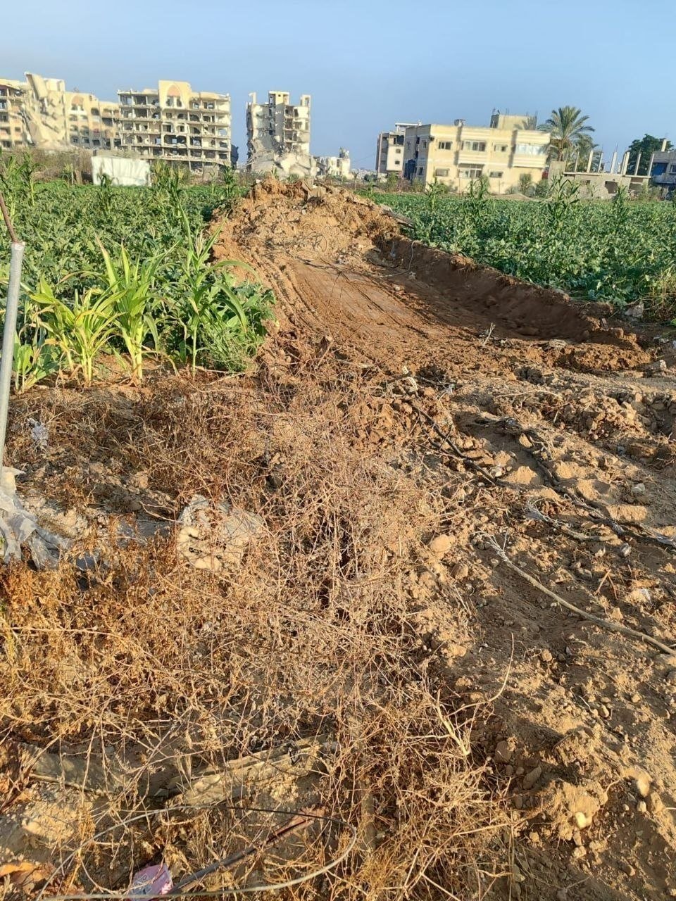 Israeli bulldozers destroy farmland in Deir Al-Balah incursion