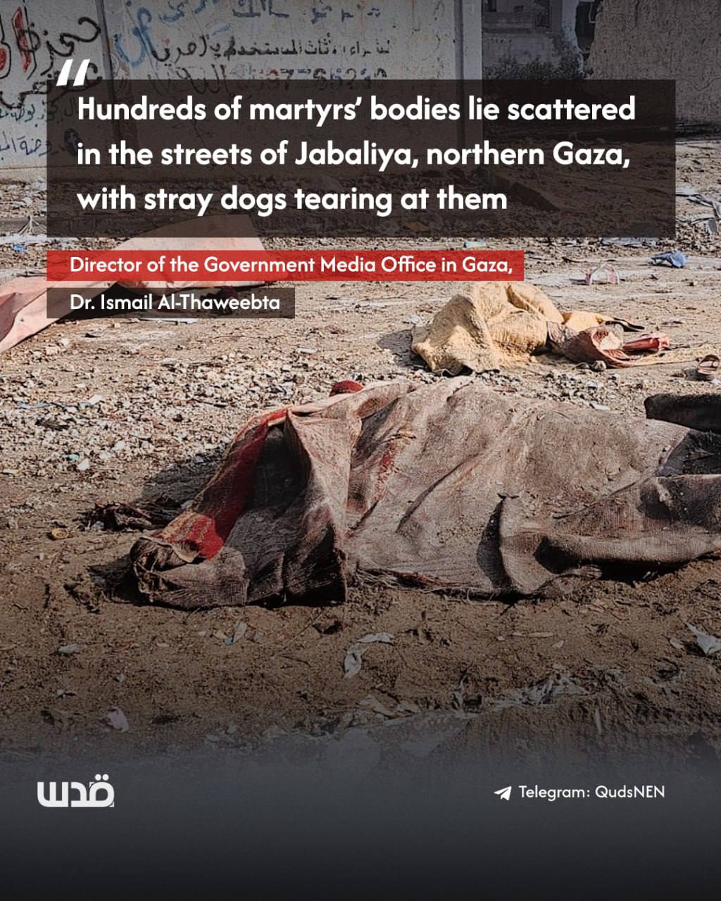 Gaza official reports 500-650 bodies unrecovered in northern Gaza streets
