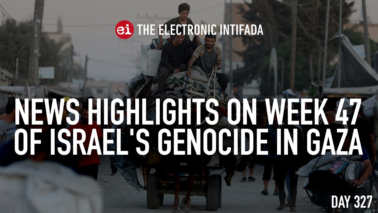Week 47 news highlights of Israel’s genocide in Gaza