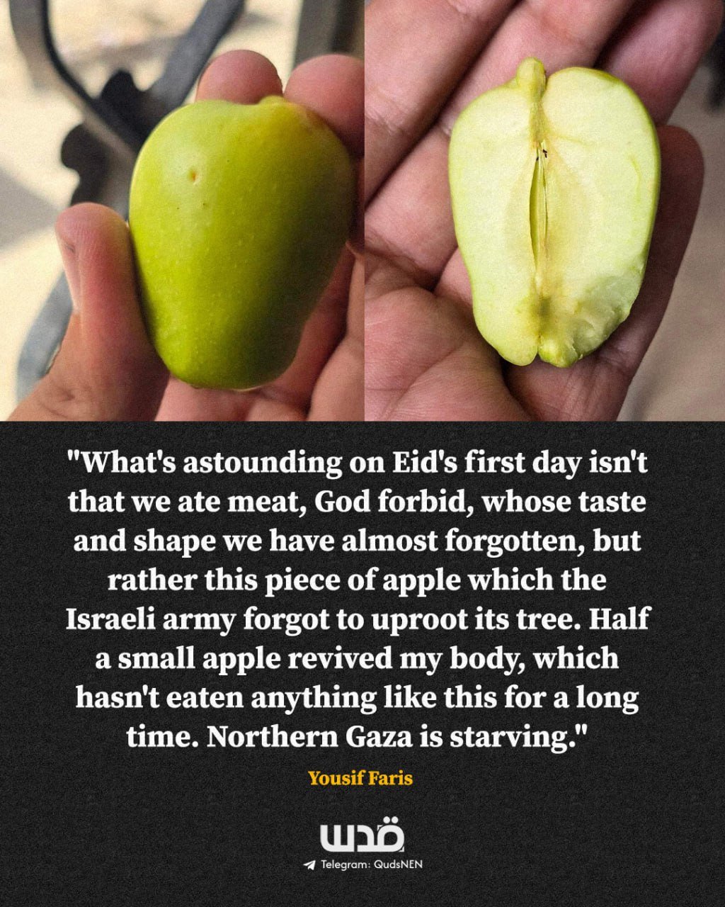 Gazan recounts eating a small apple on Eid amid starvation
