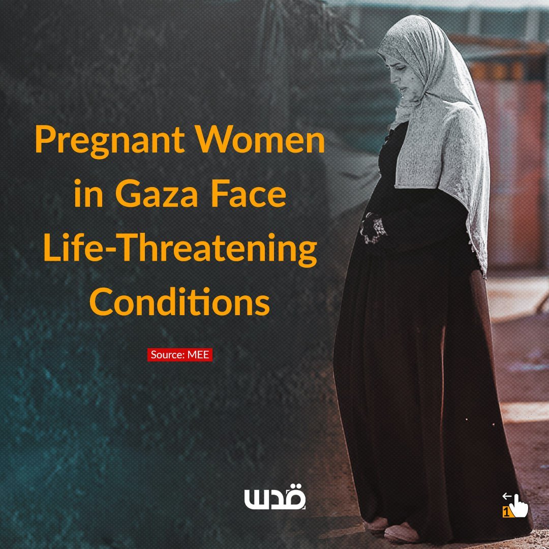 Pregnant women and newborns face life-threatening conditions in Gaza