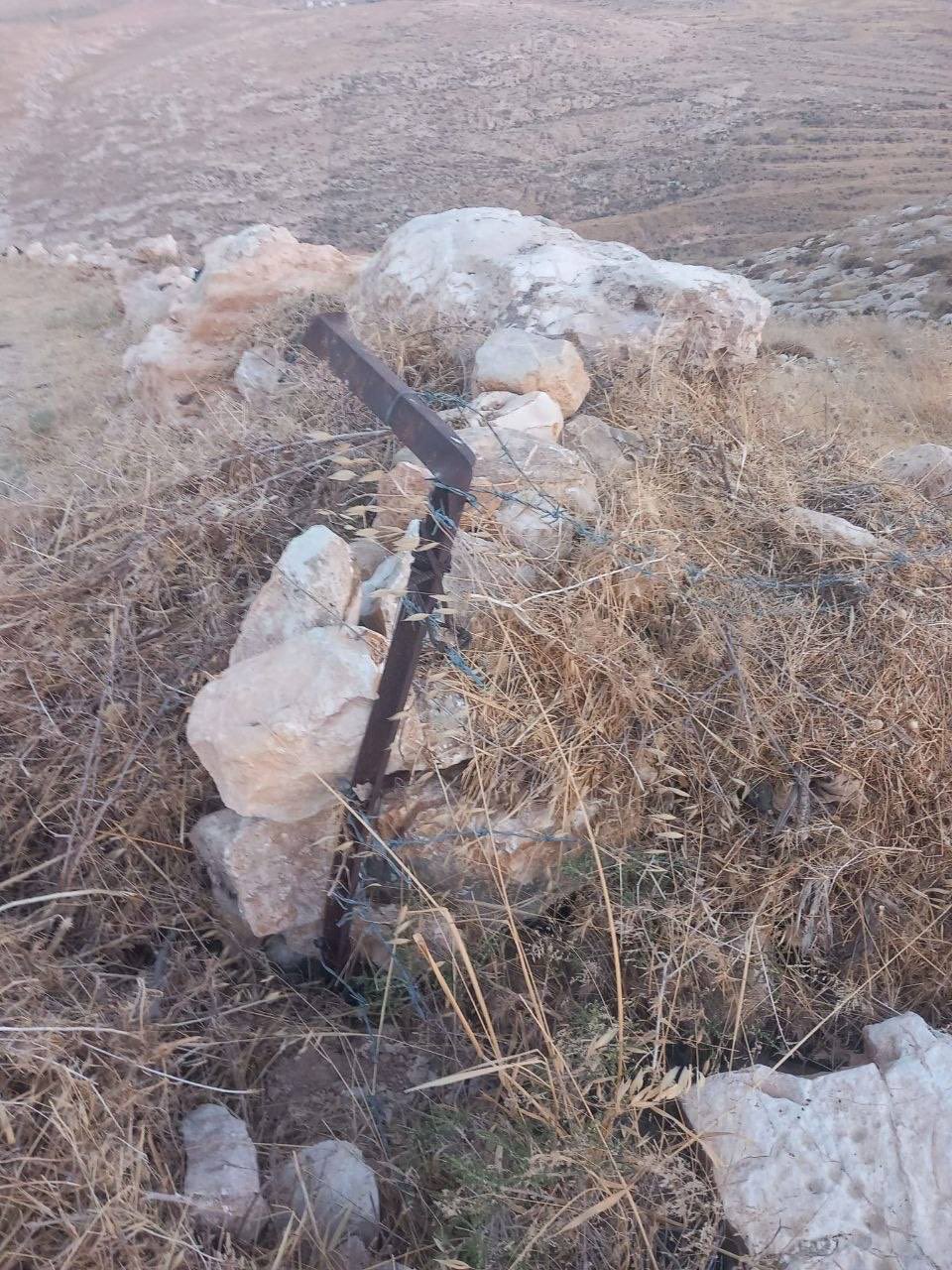 Israeli settlers attack Palestinian farmer’s land in Masafer Yatta