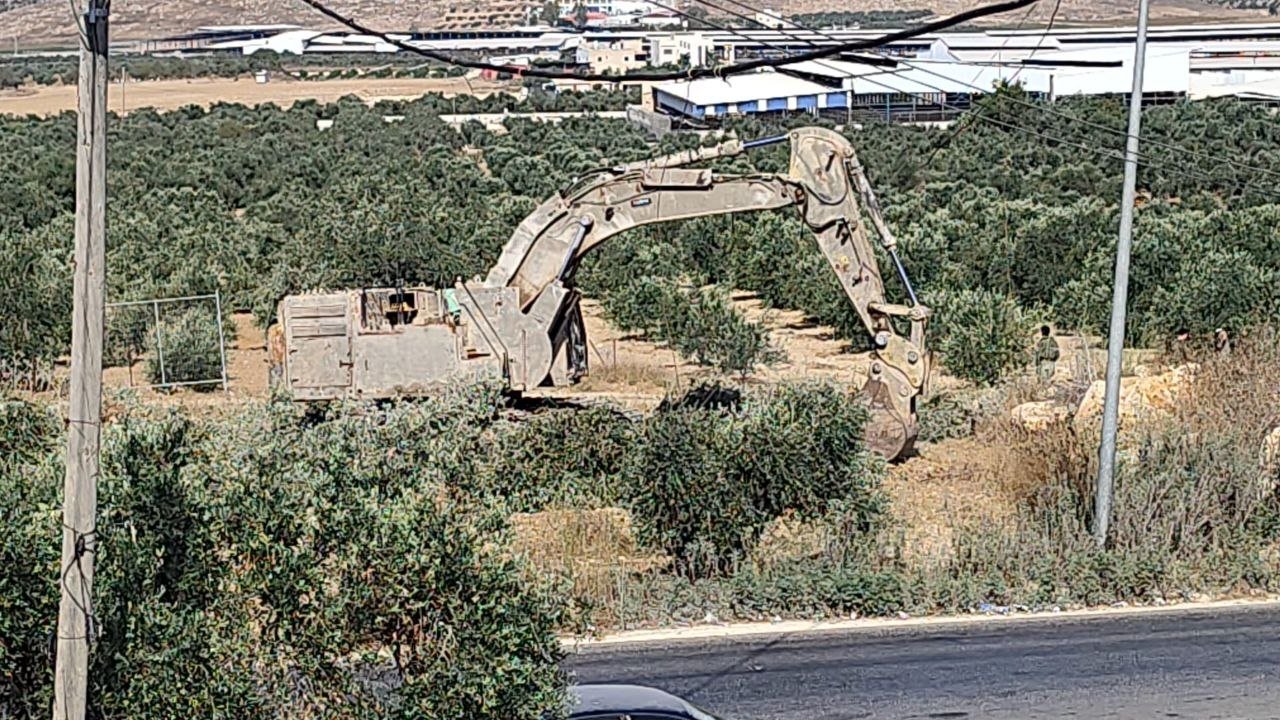 Israeli bulldozers destroy Palestinian olive trees near Jenin