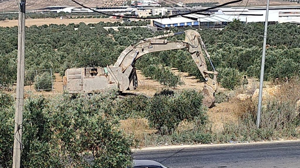 Israeli excavator uproots olive trees in Ajja, west of Jenin