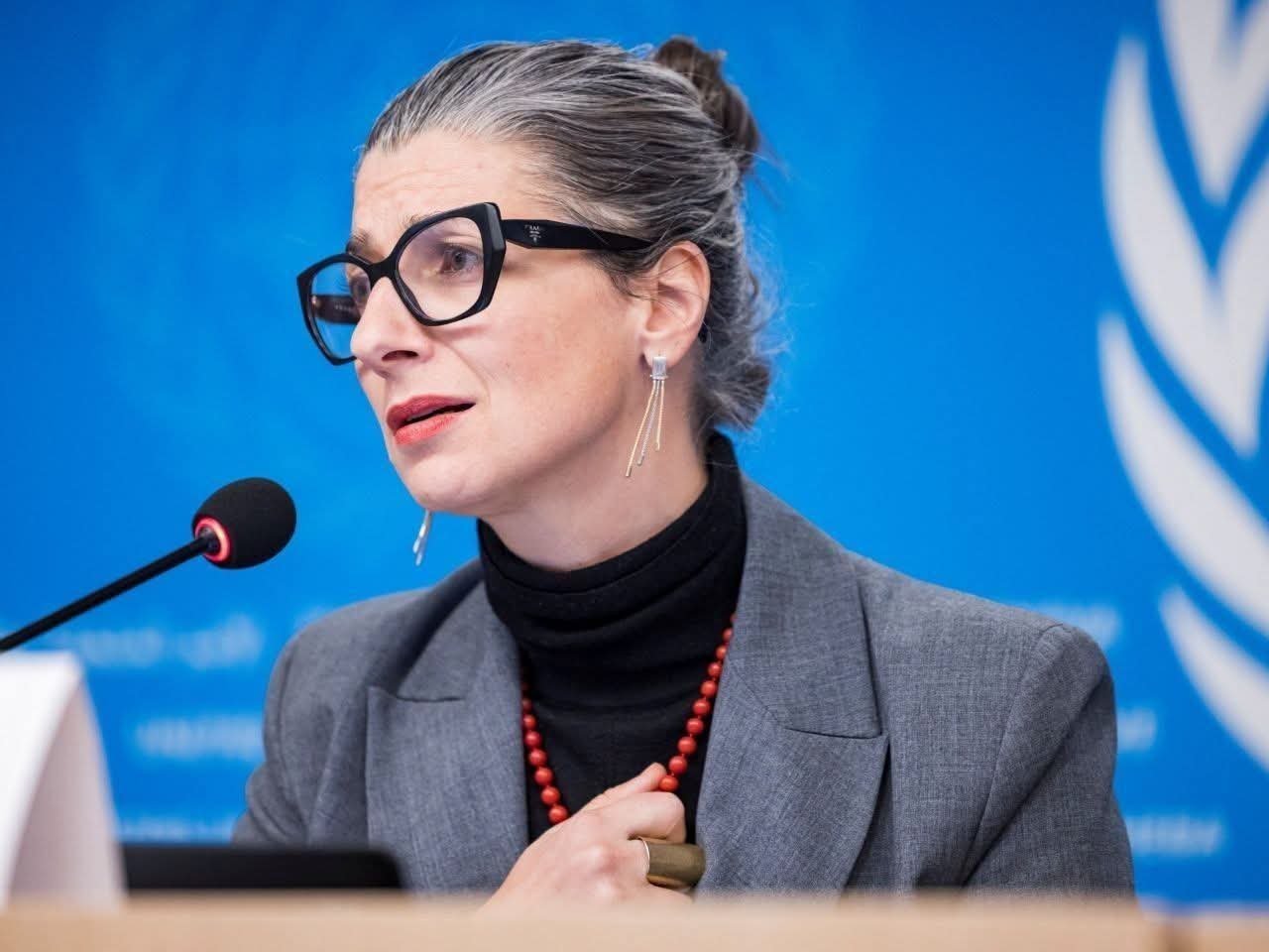 UN rapporteur urges international protection force for West Bank and Gaza